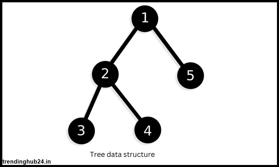 what is the difference between tree and graph data structure.jpg